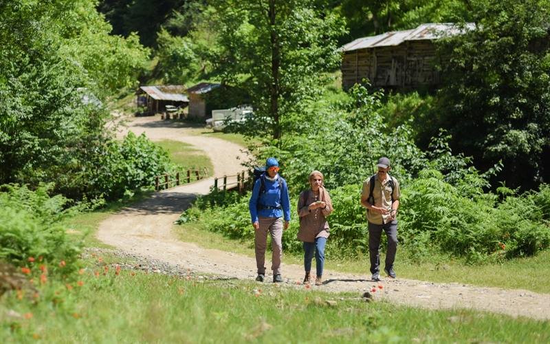 تالش کجاست؟ | طبیعت شگفت‌انگیز گیلان